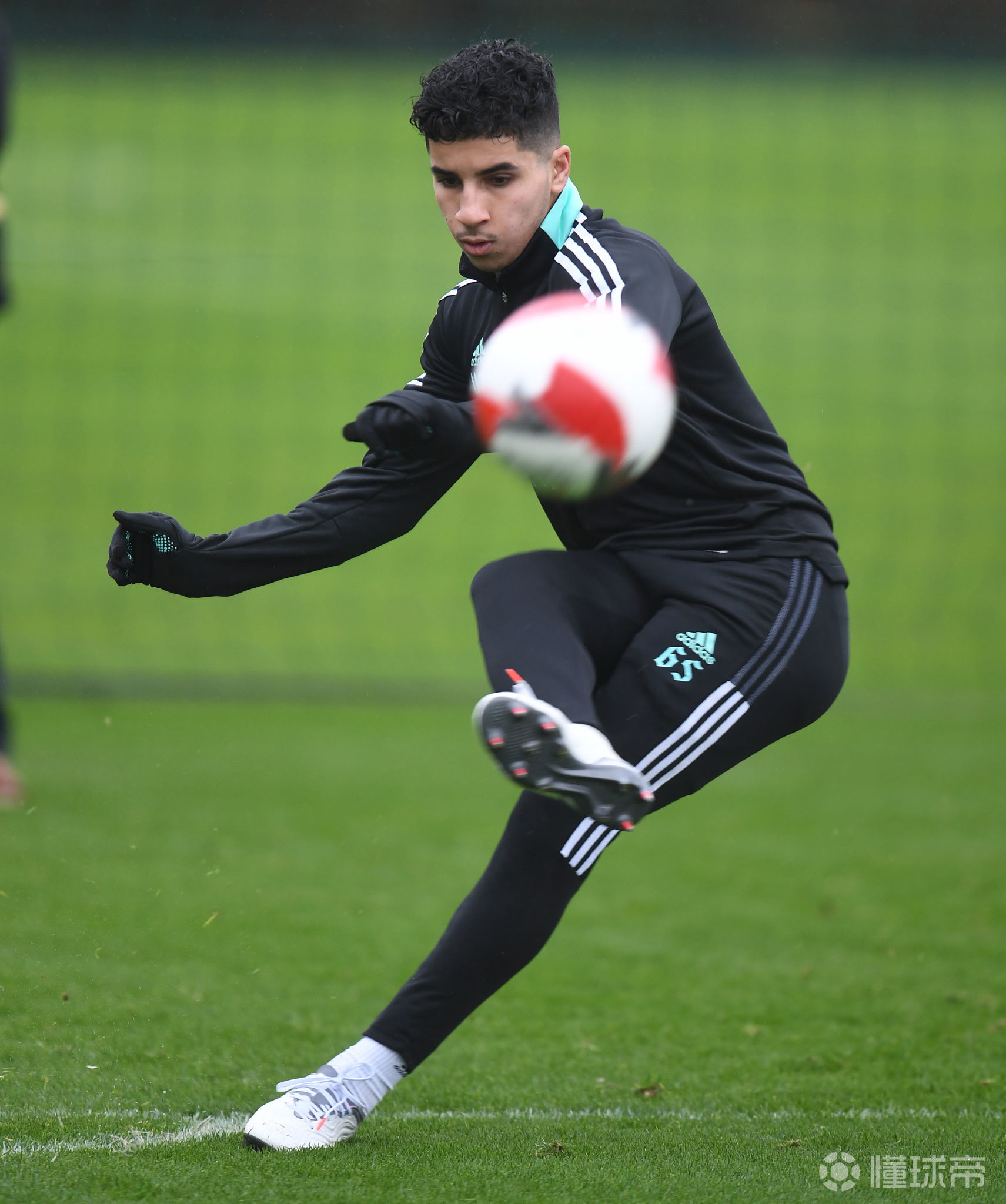 Jiuyou Sports-关于转会期多伦多猛龙备战足总杯，外线爆发细节曝光，震撼外界，高层口径保持一致的信息